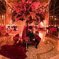 Extravaganza party venice